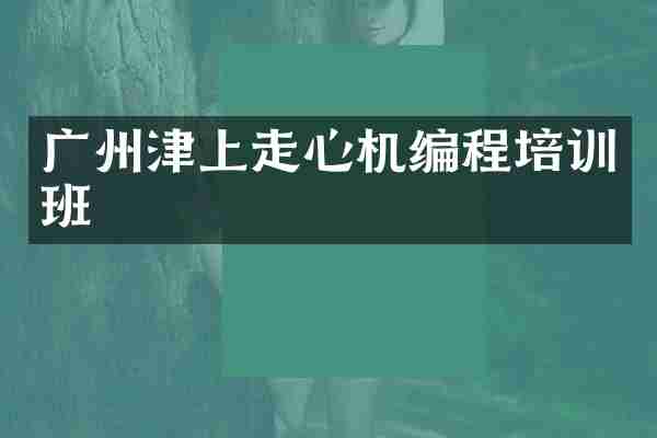 广州津上走心机编程培训班