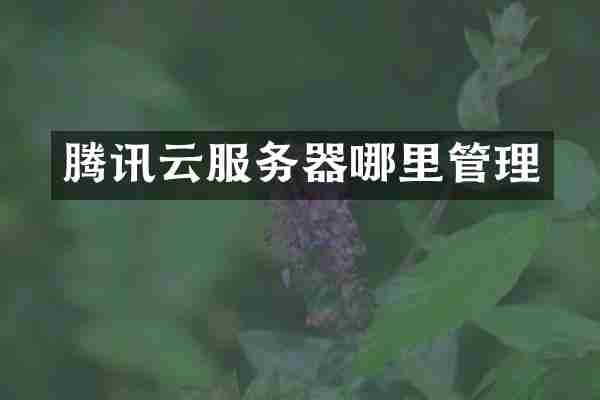 腾讯云服务器哪里管理