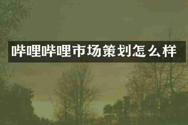 哔哩哔哩市场策划怎么样