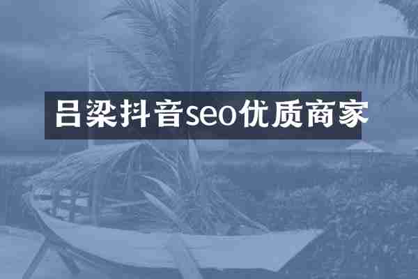 吕梁抖音seo优质商家