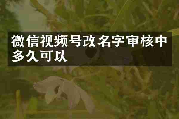 微信视频号改名字审核中多久可以