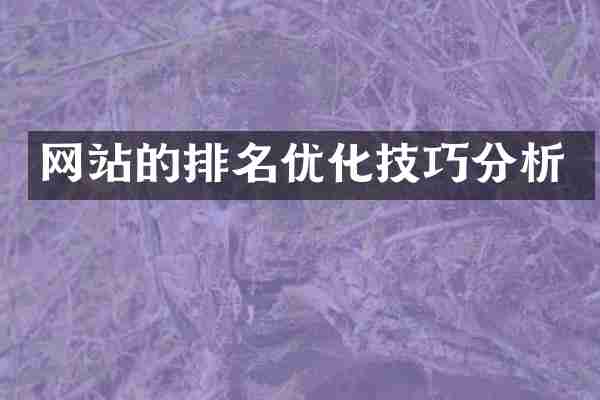 网站的排名优化技巧分析