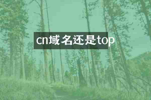 cn域名还是top