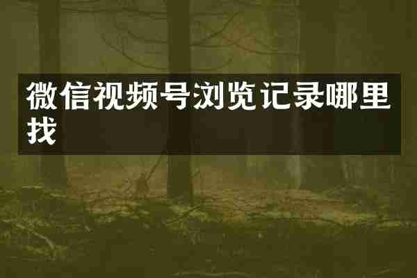 微信视频号浏览记录哪里找