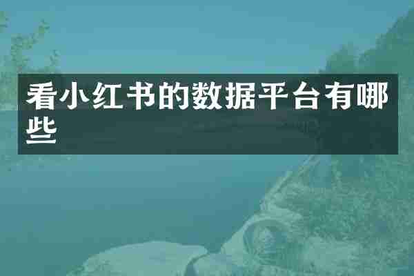 看小红书的数据平台有哪些
