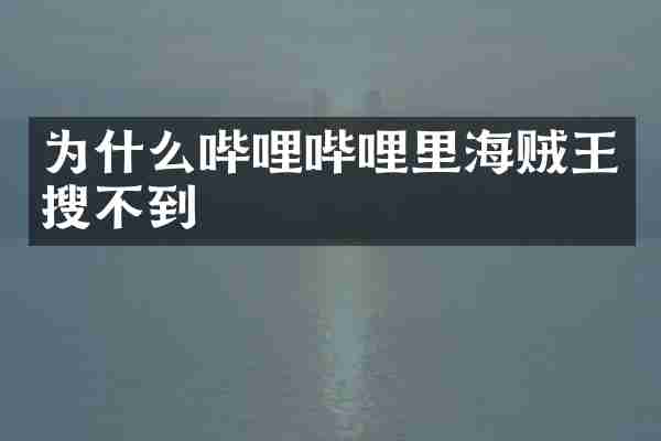 为什么哔哩哔哩里海贼王搜不到