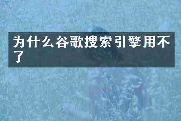为什么谷歌搜索引擎用不了