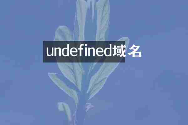 undefined域名