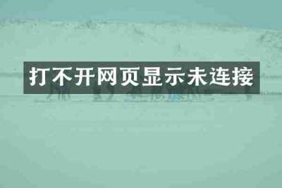 打不开网页显示未连接