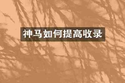 神马如何提高收录
