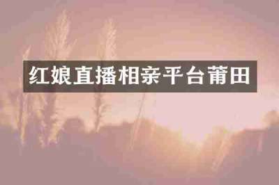 红娘直播相亲平台莆田