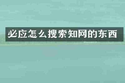 必应怎么搜索知网的东西