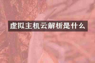 虚拟主机云解析是什么