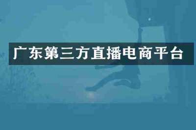 广东第三方直播电商平台
