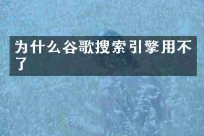 为什么谷歌搜索引擎用不了