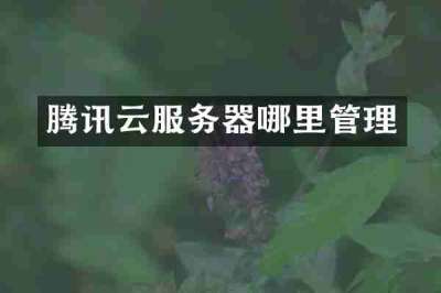 腾讯云服务器哪里管理