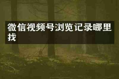微信视频号浏览记录哪里找