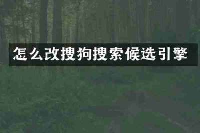 怎么改搜狗搜索候选引擎