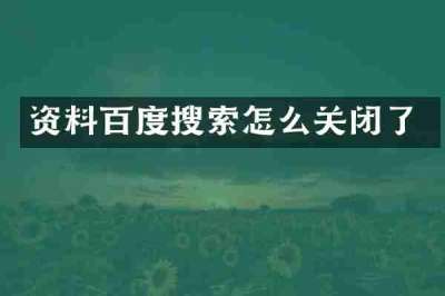 资料百度搜索怎么关闭了