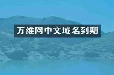 万维网中文域名到期