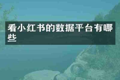 看小红书的数据平台有哪些