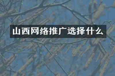 山西网络推广选择什么