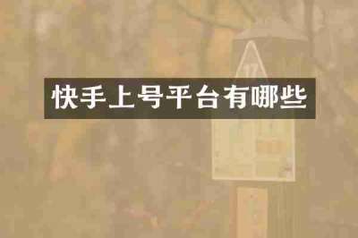 快手上号平台有哪些