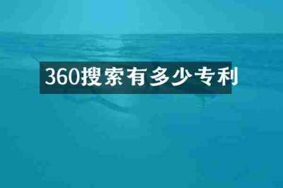 360搜索有多少专利