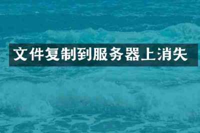 文件复制到服务器上消失