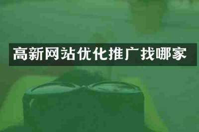 高新网站优化推广找哪家