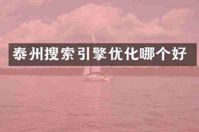 泰州搜索引擎优化哪个好