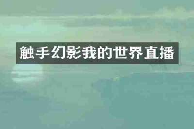 触手幻影我的世界直播
