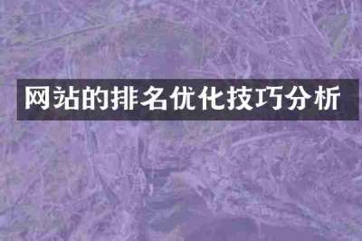 网站的排名优化技巧分析