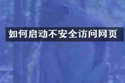 如何启动不安全访问网页