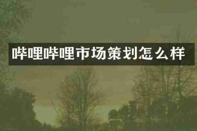 哔哩哔哩市场策划怎么样