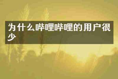 为什么哔哩哔哩的用户很少