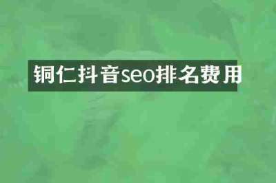 铜仁抖音seo排名费用