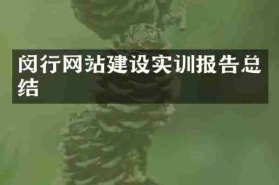 闵行网站建设实训报告总结