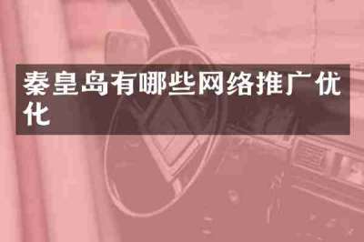秦皇岛有哪些网络推广优化