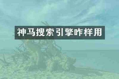 神马搜索引擎咋样用