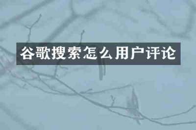 谷歌搜索怎么用户评论