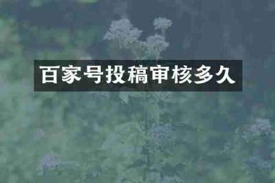 百家号投稿审核多久