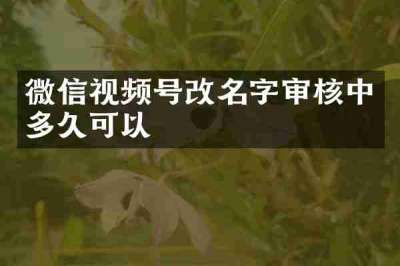微信视频号改名字审核中多久可以