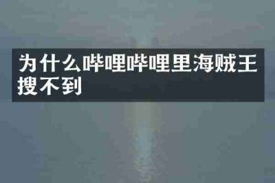 为什么哔哩哔哩里海贼王搜不到