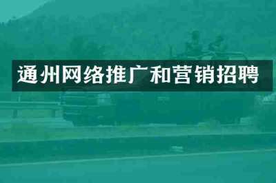 通州网络推广和营销招聘