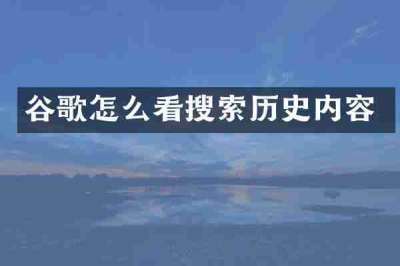 谷歌怎么看搜索历史内容