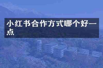 小红书合作方式哪个好一点