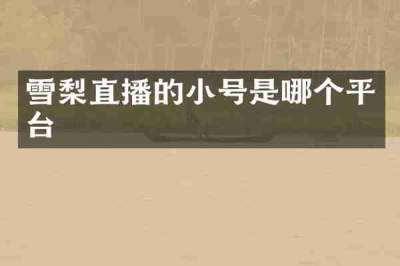 雪梨直播的小号是哪个平台