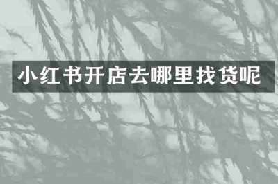 小红书开店去哪里找货呢