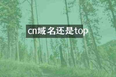 cn域名还是top